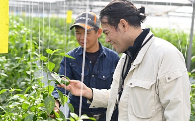 研修制度や資格取得のための支援制度について イメージ