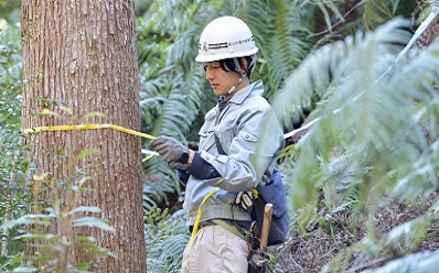 現在携わっている仕事内容 イメージ