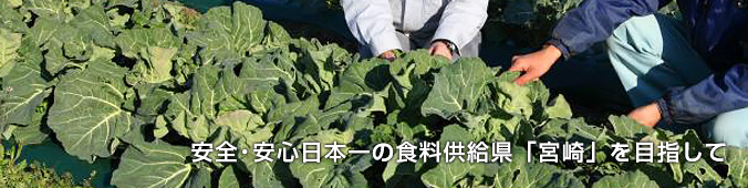 魅力あふれる「みやざき農業」の実現を目指して