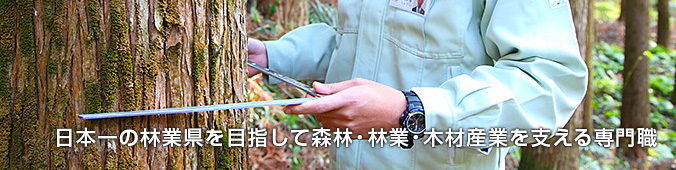 宮崎の豊かな森林資源の循環利用を目指して森林・林業・木材産業を支える専門職