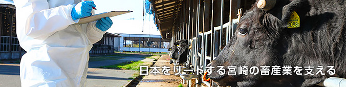 日本の畜産をリードする宮崎の畜産業を支える