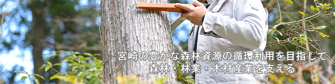 宮崎の豊かな森林資源の循環利用を目指して森林・林業・木材産業を支える