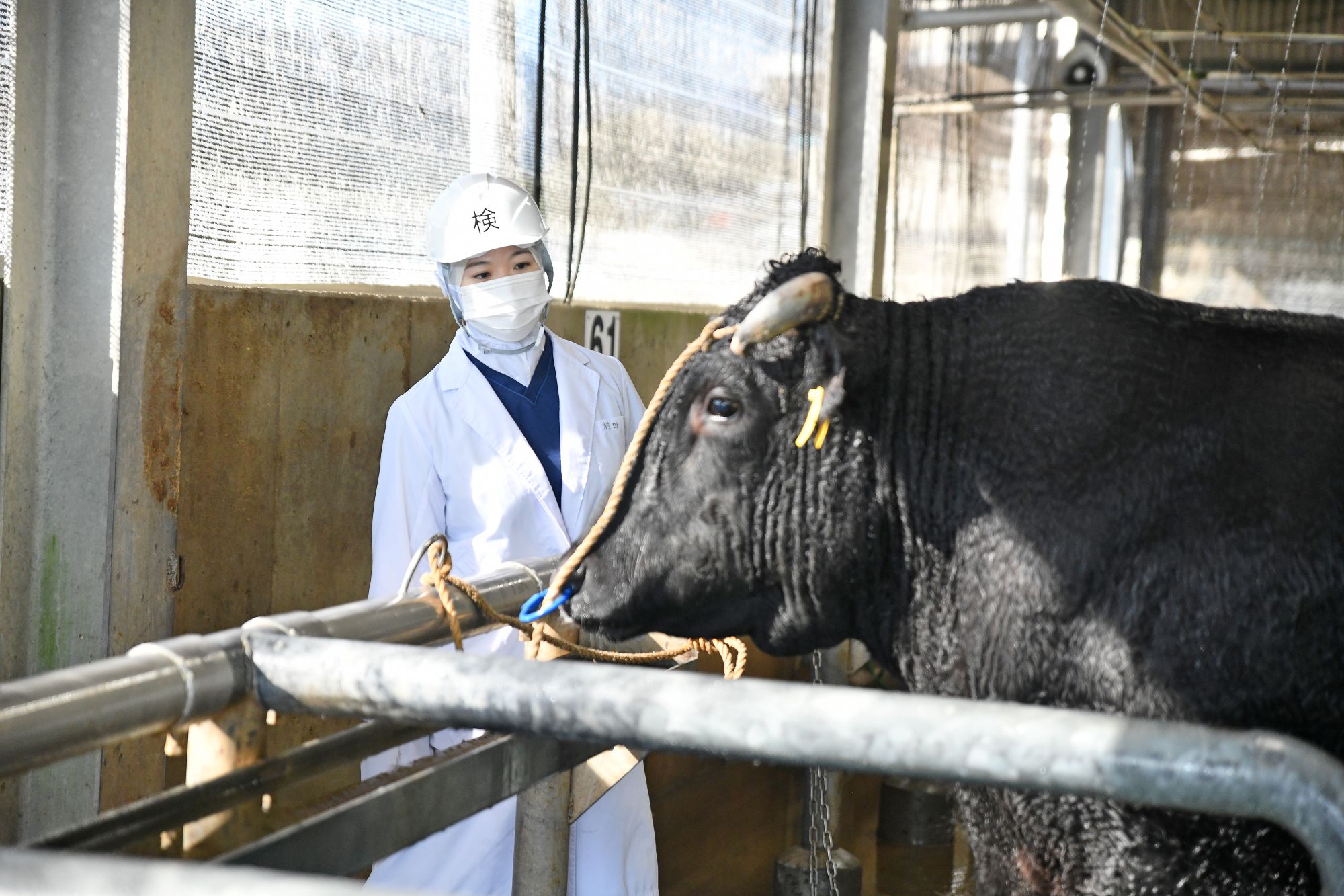 宮崎県庁を志望した理由 イメージ