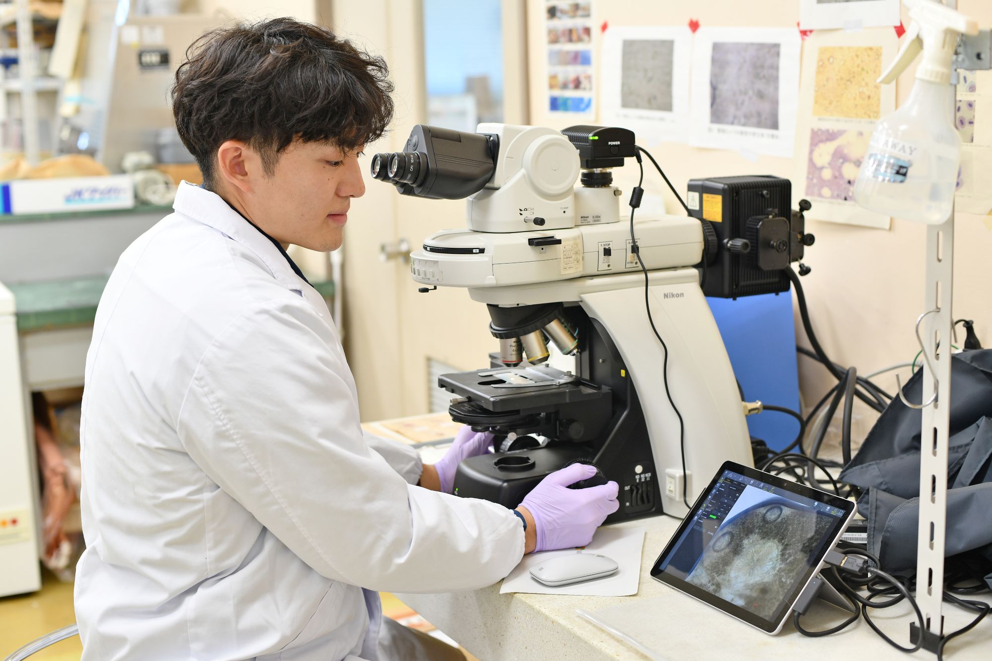 研修制度や技術力向上のための支援制度について イメージ