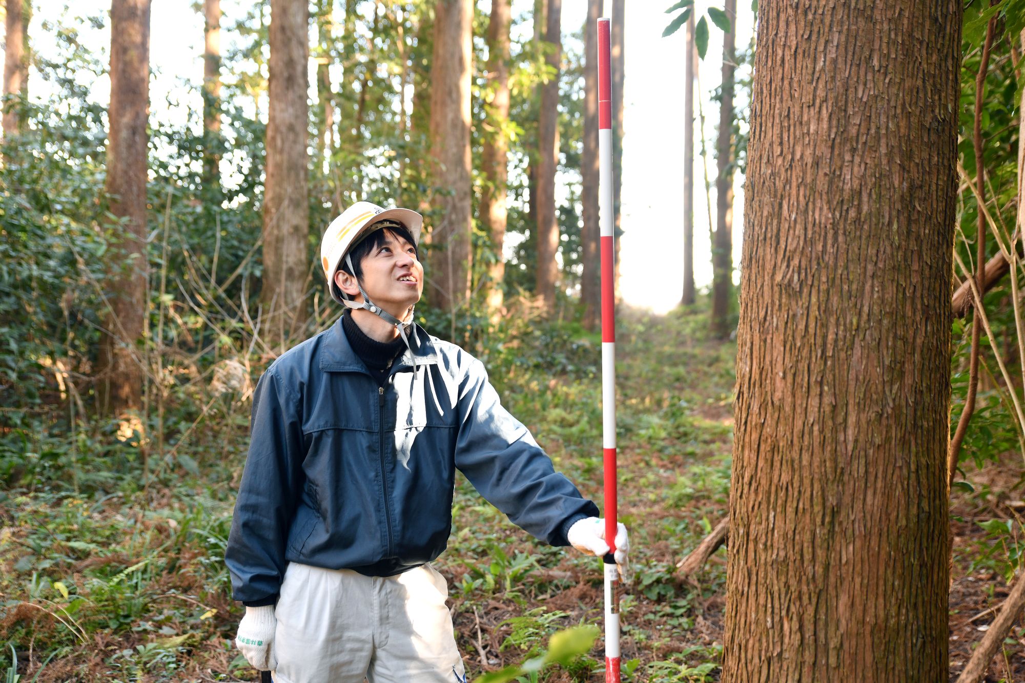 宮崎県の技術職員として働くことの魅力ややりがい イメージ