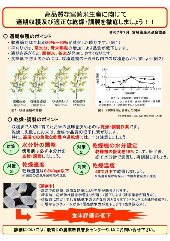 R7早期水稲_収穫ポイント