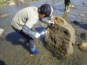 化石採集会アイキャッチ
