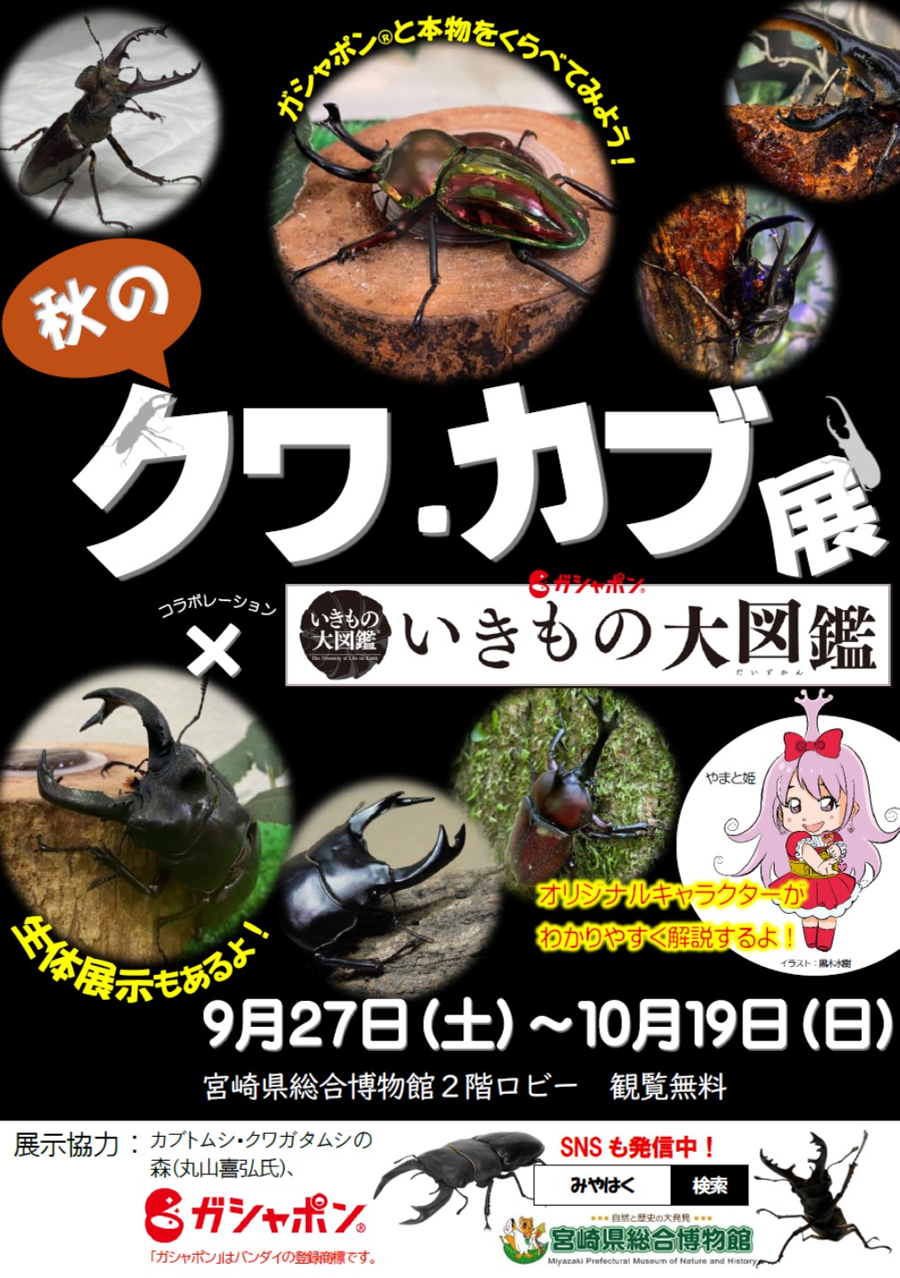 チラシ