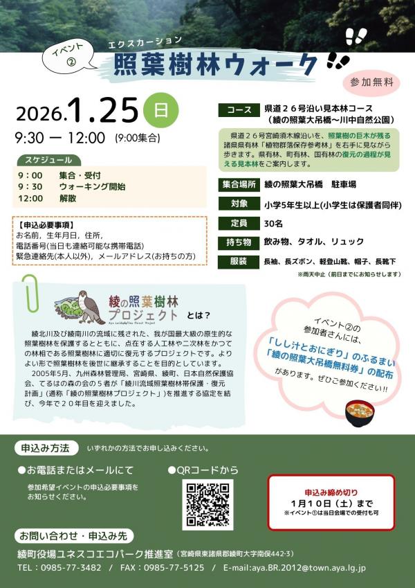 照葉樹林ウォーク