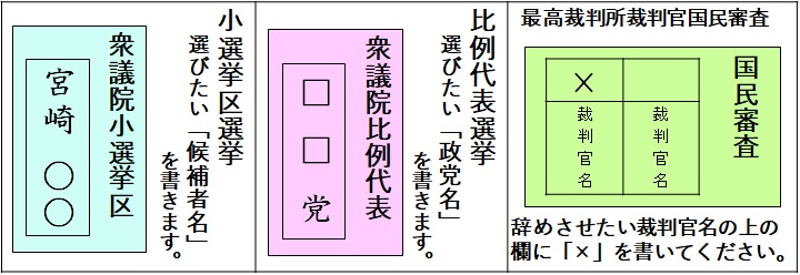 投票用紙サンプル