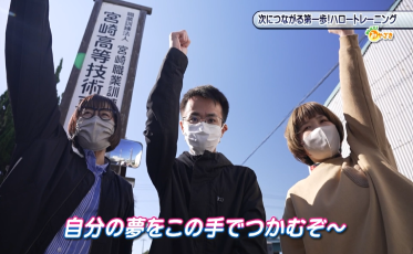 ハロートレーニング