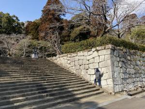 忍者の気持ちで潜伏中