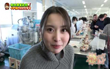 アグリフェスティバル