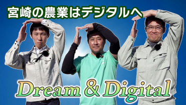 Dプロサムネイル