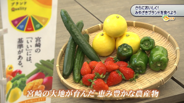 みやざきブランド