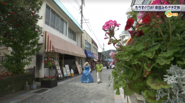 花旅