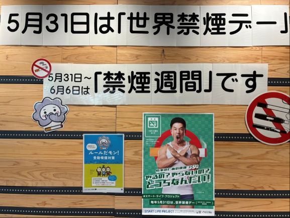 展示