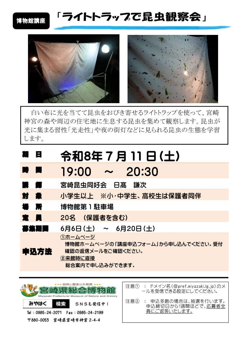 ライトトラップで昆虫観察会