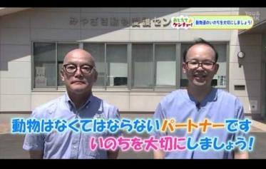 地域猫