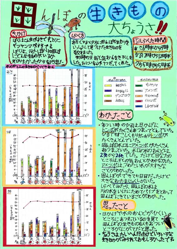 田んぼの生き物