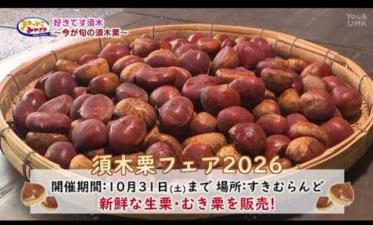 須木栗