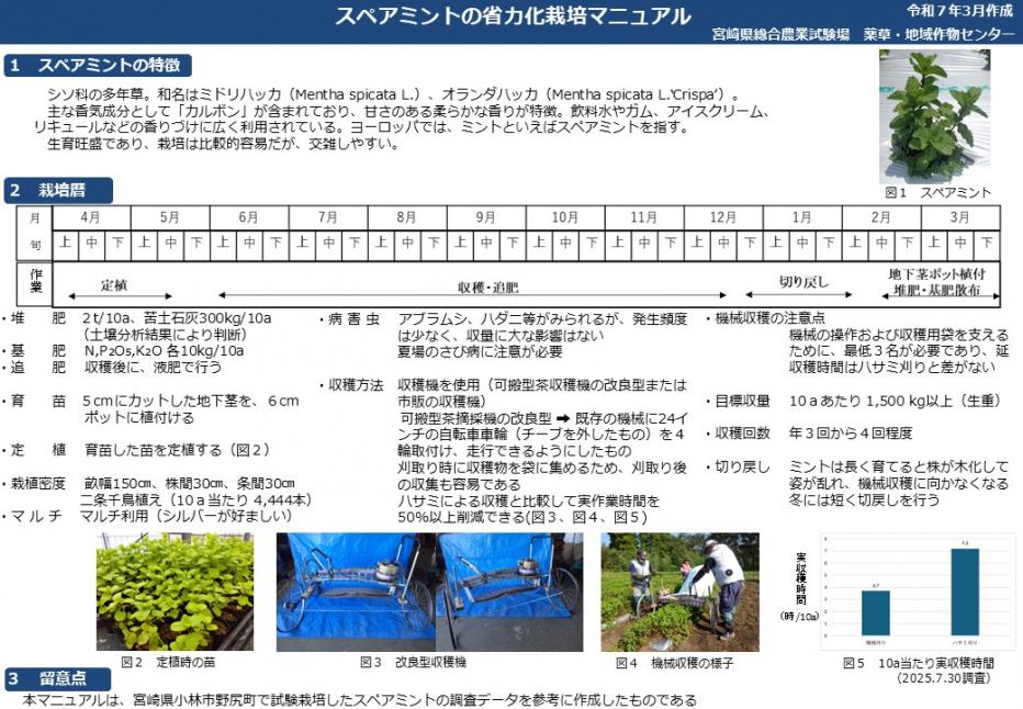 スペアミント栽培マニュアル