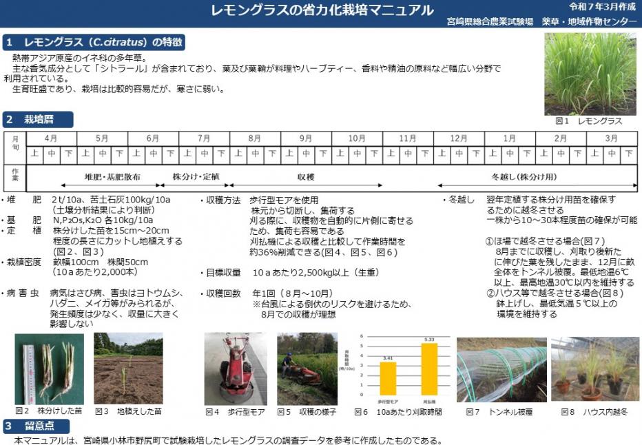 レモングラス栽培マニュアル