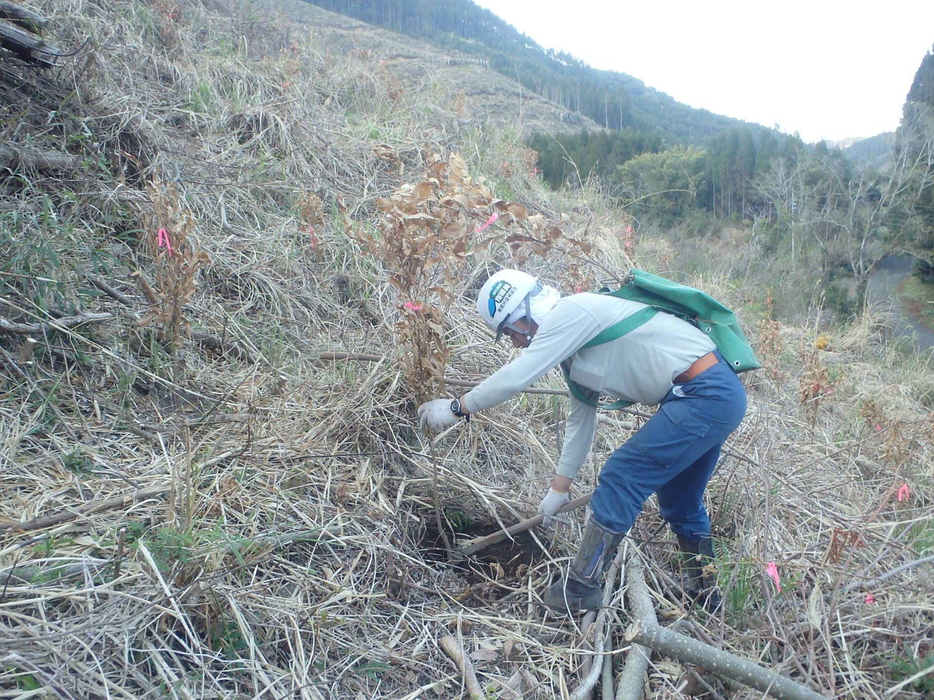 ゼロカーボン推進プロジェクト