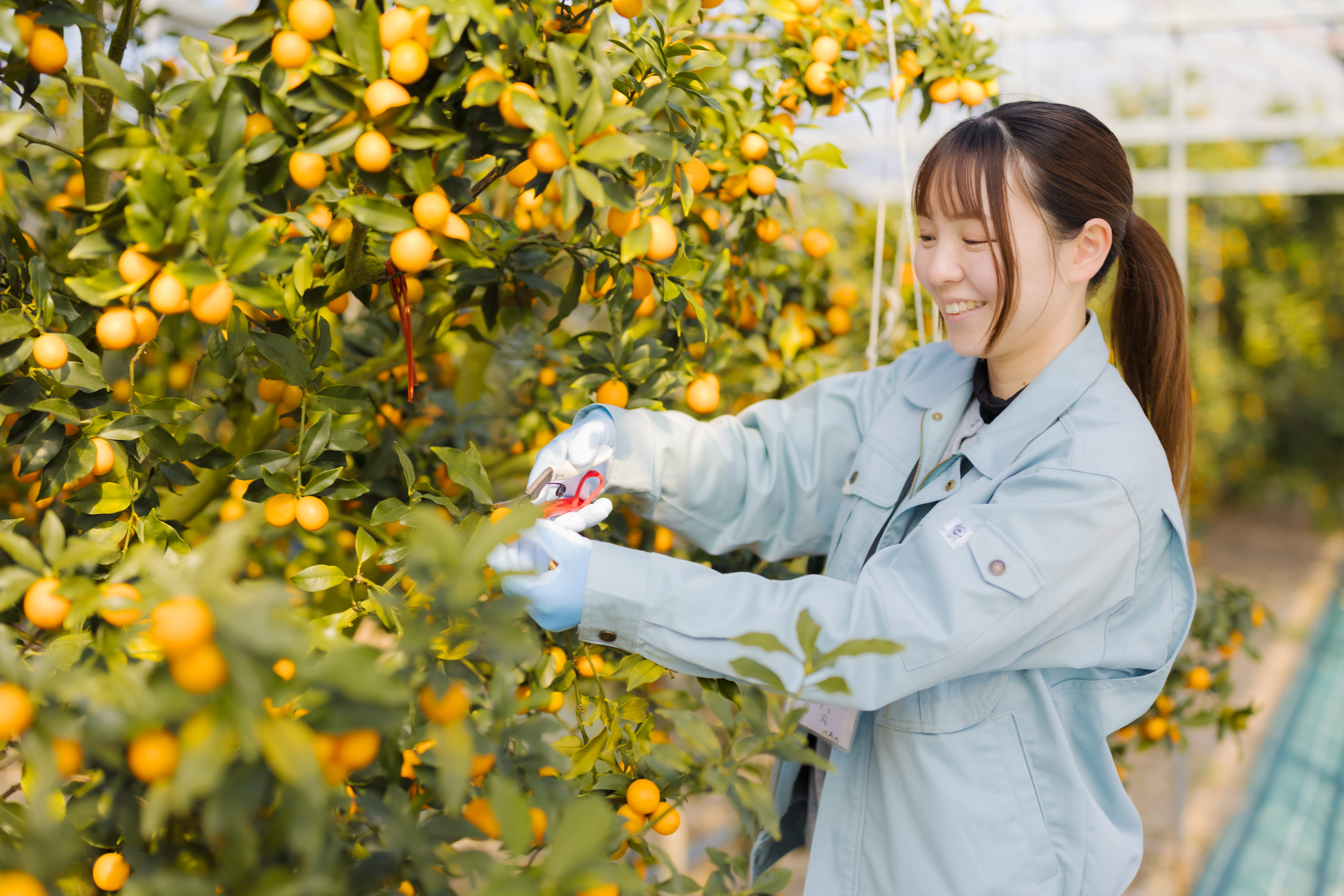 農業の未来応援プロジェクト2