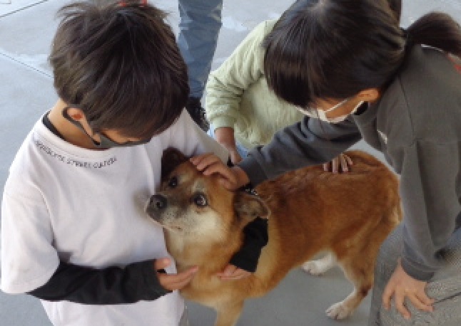 魅力あふれるまちづくりプロジェクト2