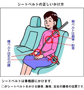 シートベルトの正しいかけ方を説明する画像