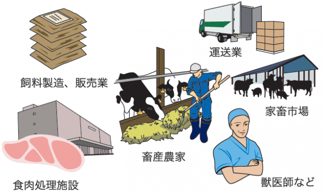 飼料製造、販売業、運送業、家畜市場、畜産農家、食肉処理施設、獣医師など
