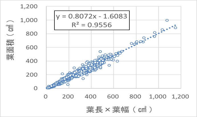 葉面積と葉長と葉幅を乗じた値の関係