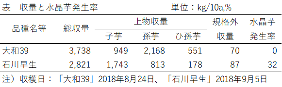 さといも表