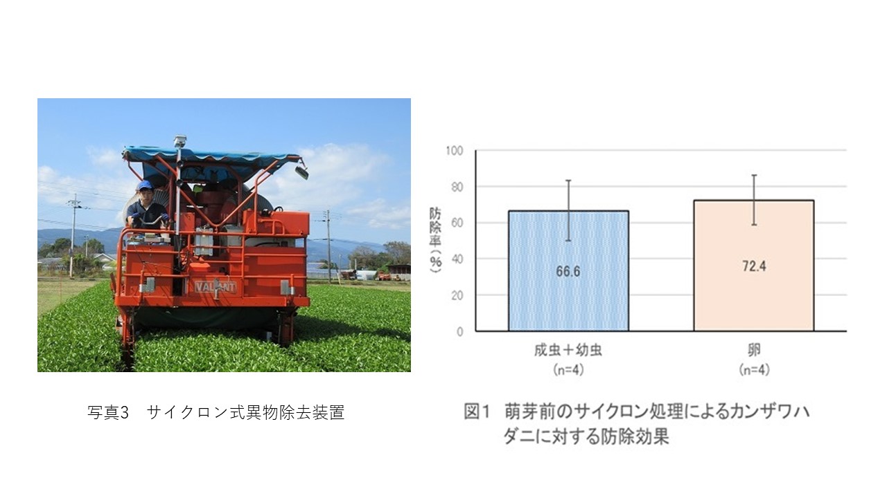 栽培部門