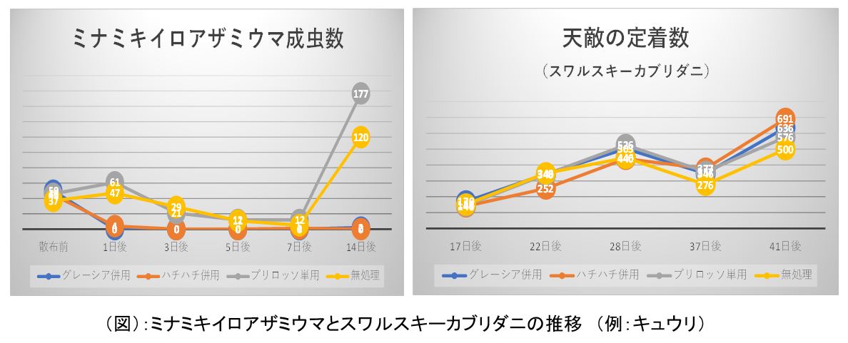 茎葉処理剤の効果