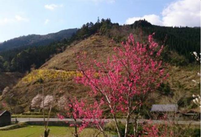 小川作小屋村