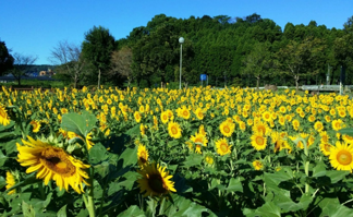 木城町PR写真