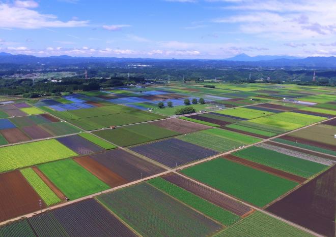 六野原