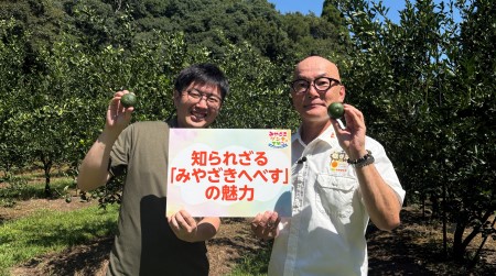 へべす