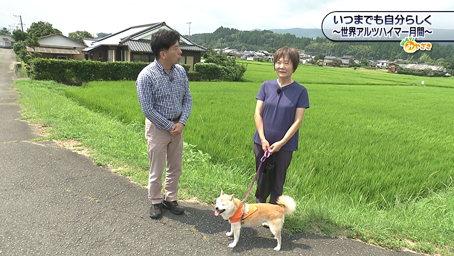 わんわんパトロール