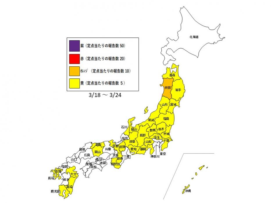 全国の感染状況