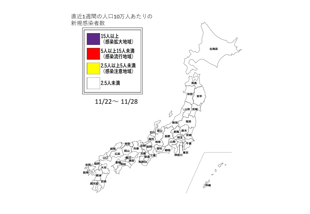 11月22日～11月28日