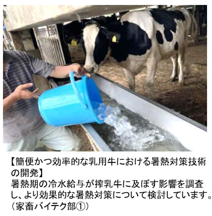 家畜バイテク