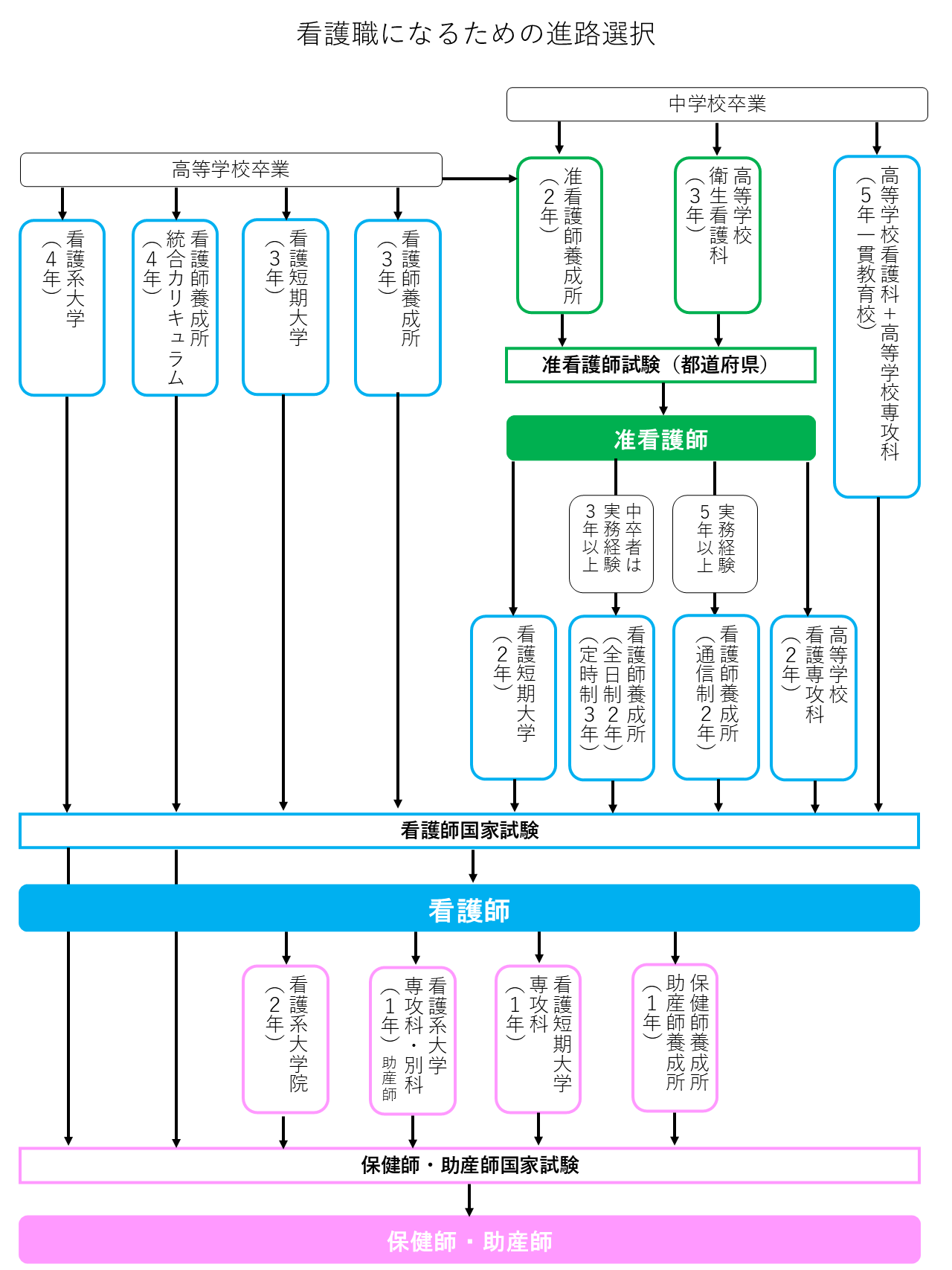 看護職になるための進路選択