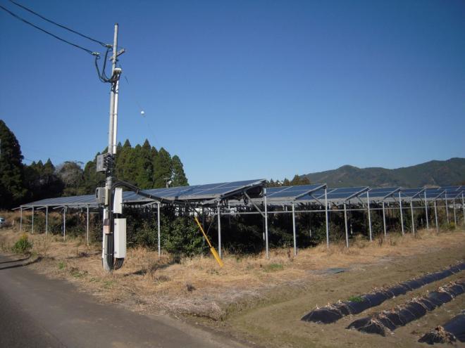 宮崎県でのソーラーシェアリングの写真