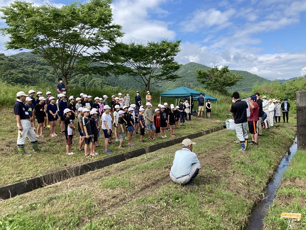 田植え1