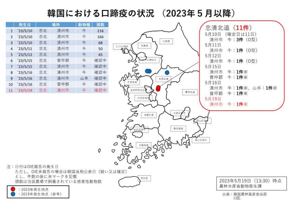 韓国における発生状況（5月19日現在）