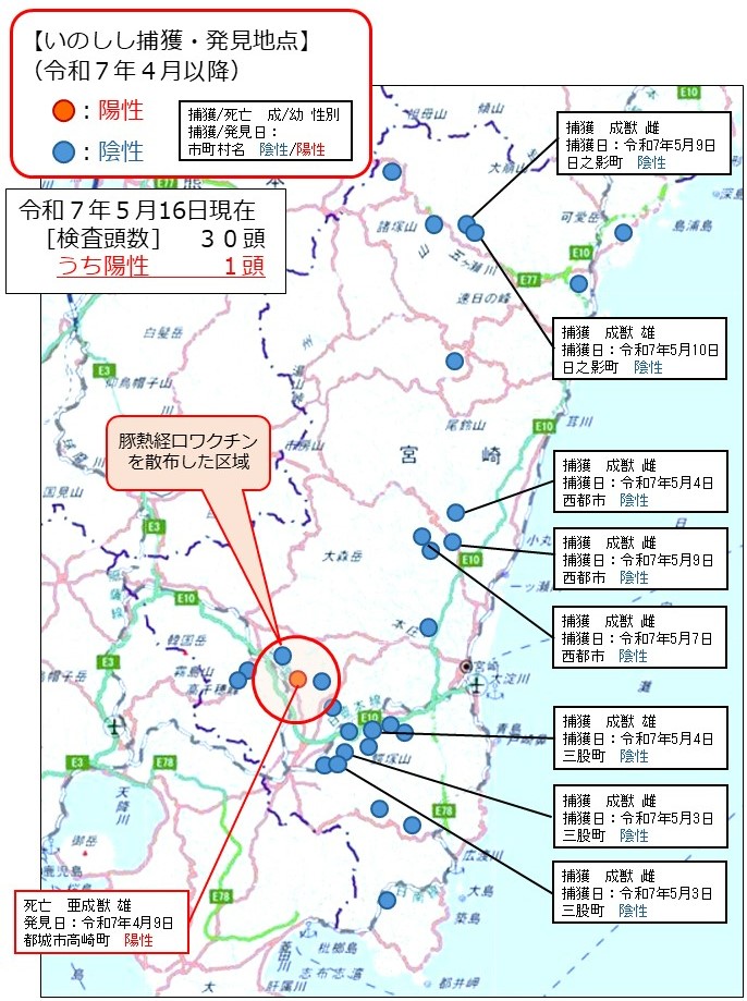 野生イノシシにおける豚熱サーベイランス検査成績について