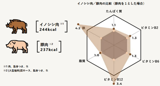 シシ肉栄養